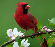 Click to Go to Gallery 4